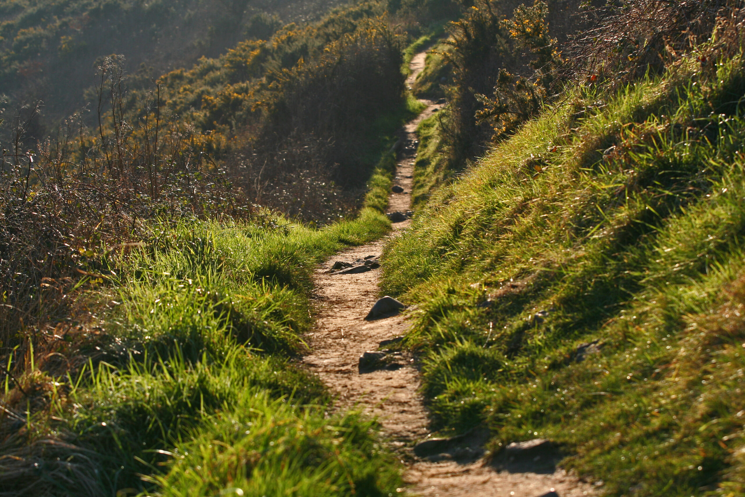 the-path-of-life-we-take-the-daily-walk